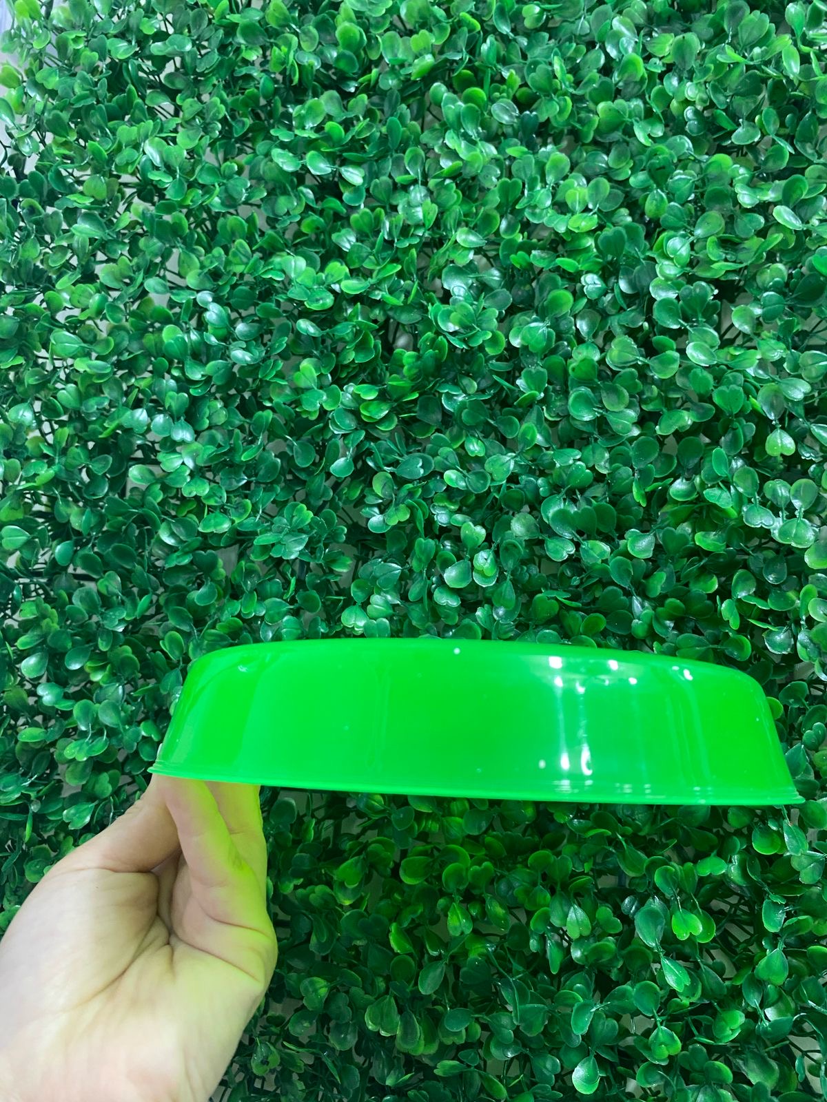 Platito para mascotas