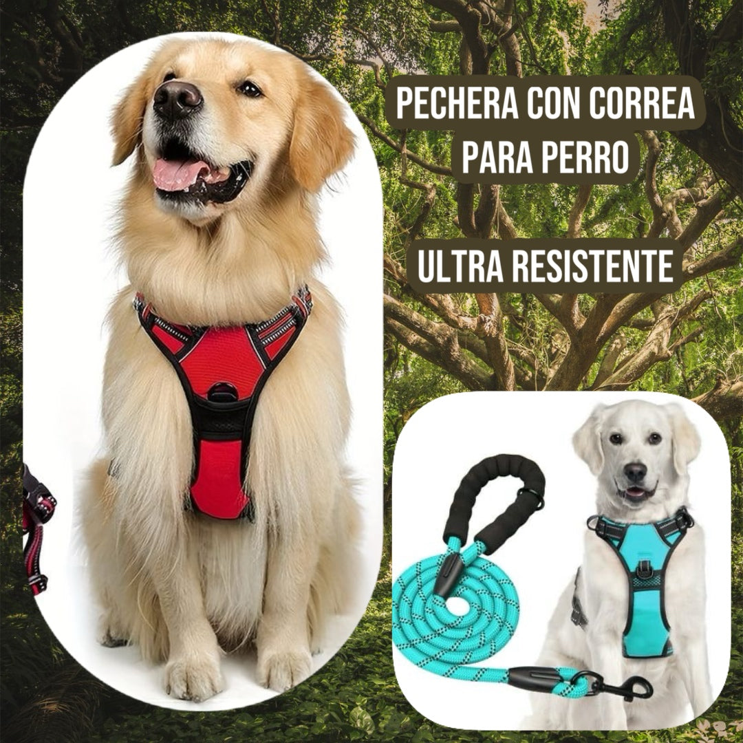 PECHERA CON CORREA PARA PERRO - CAMILA MC