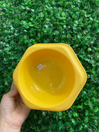 Platito para mascotas