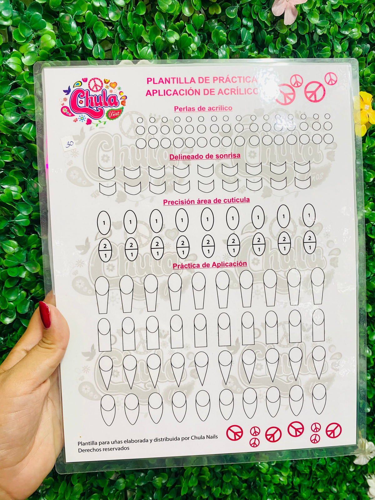 2977 Plantilla de práctica