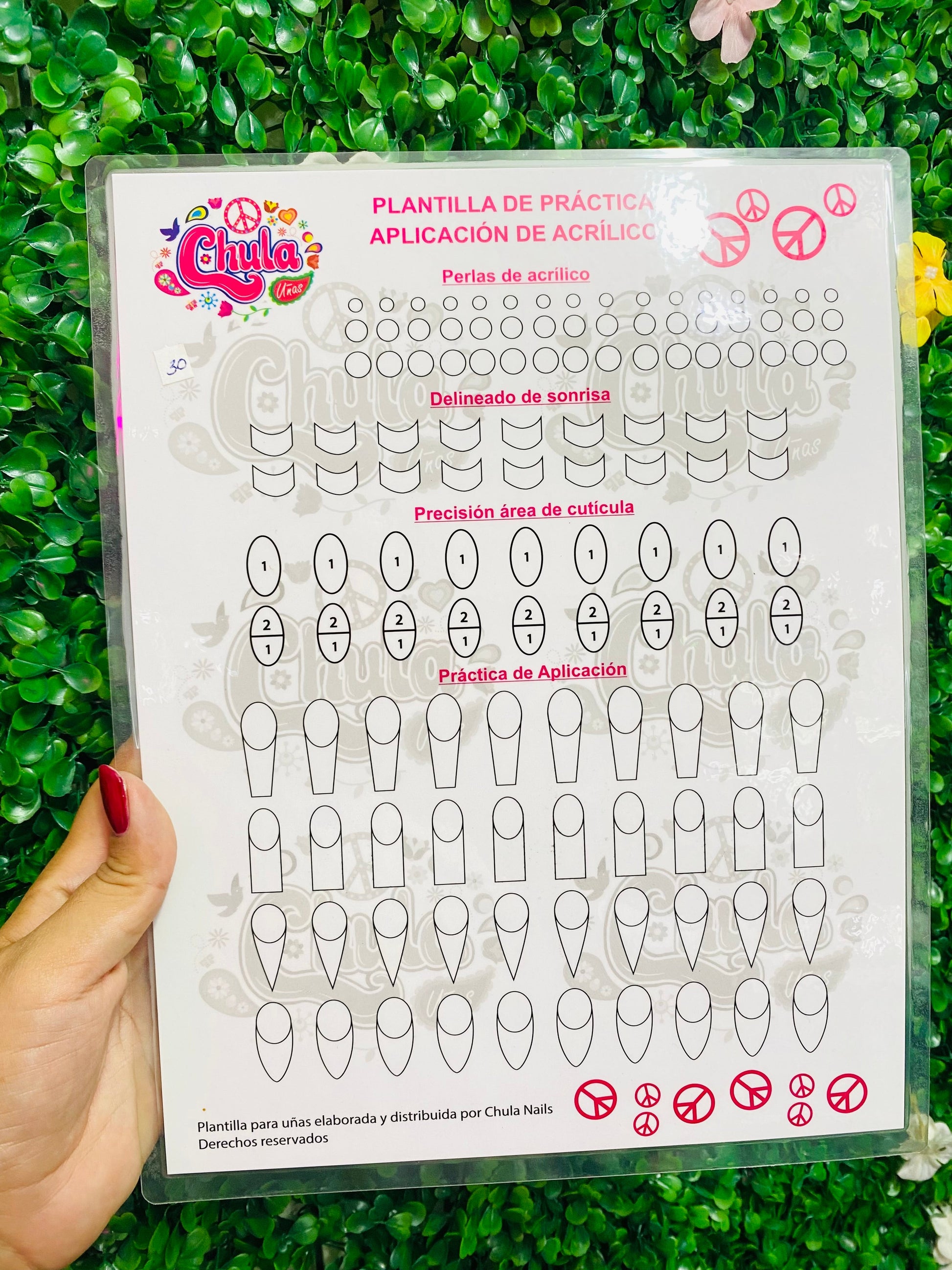 2977 Plantilla de práctica