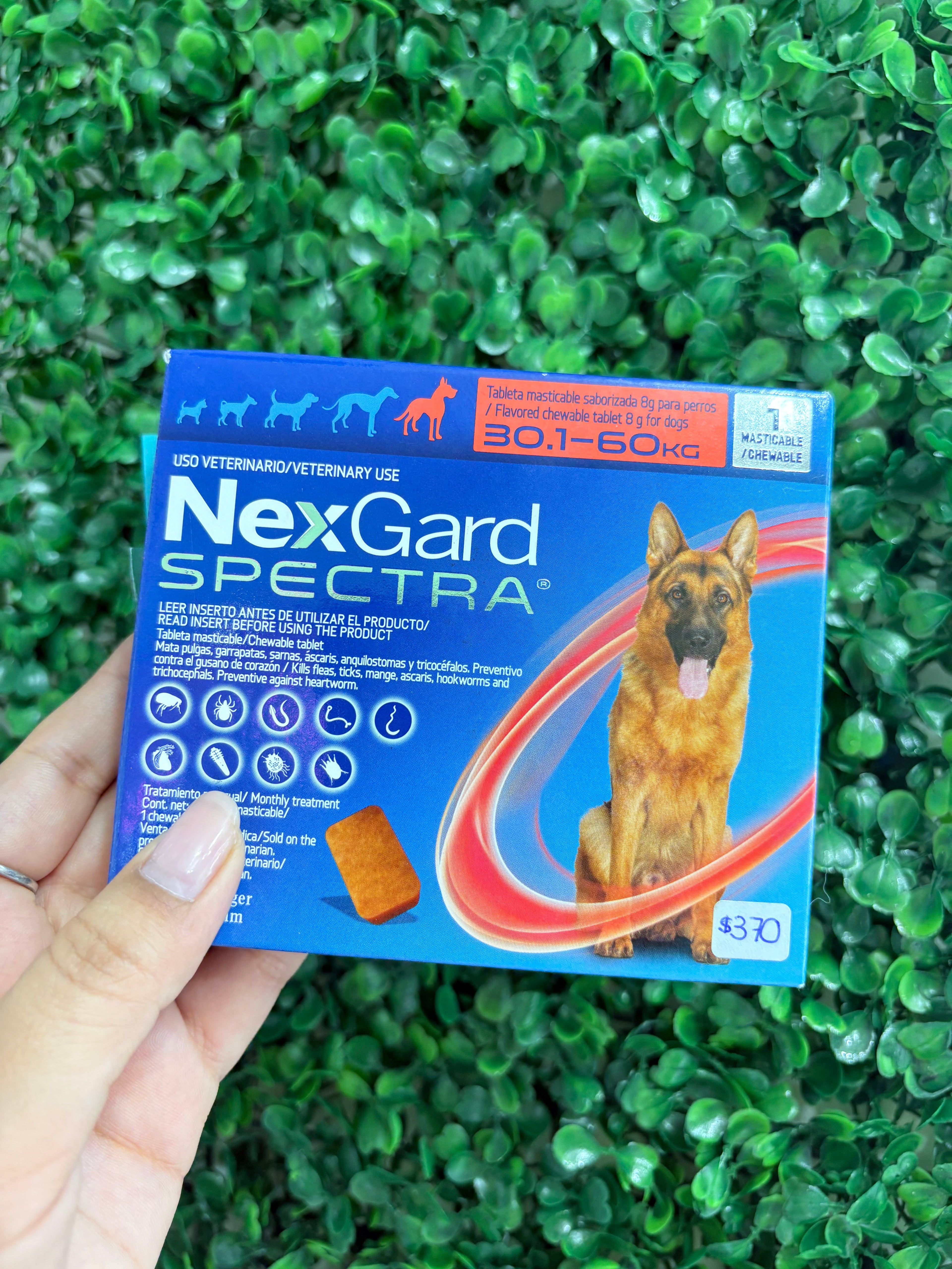 NexGard SPECTRA® 30.1-60kg elimina pulgas, garrapatas, gusanos y sarna con un solo bocado sabroso al mes.