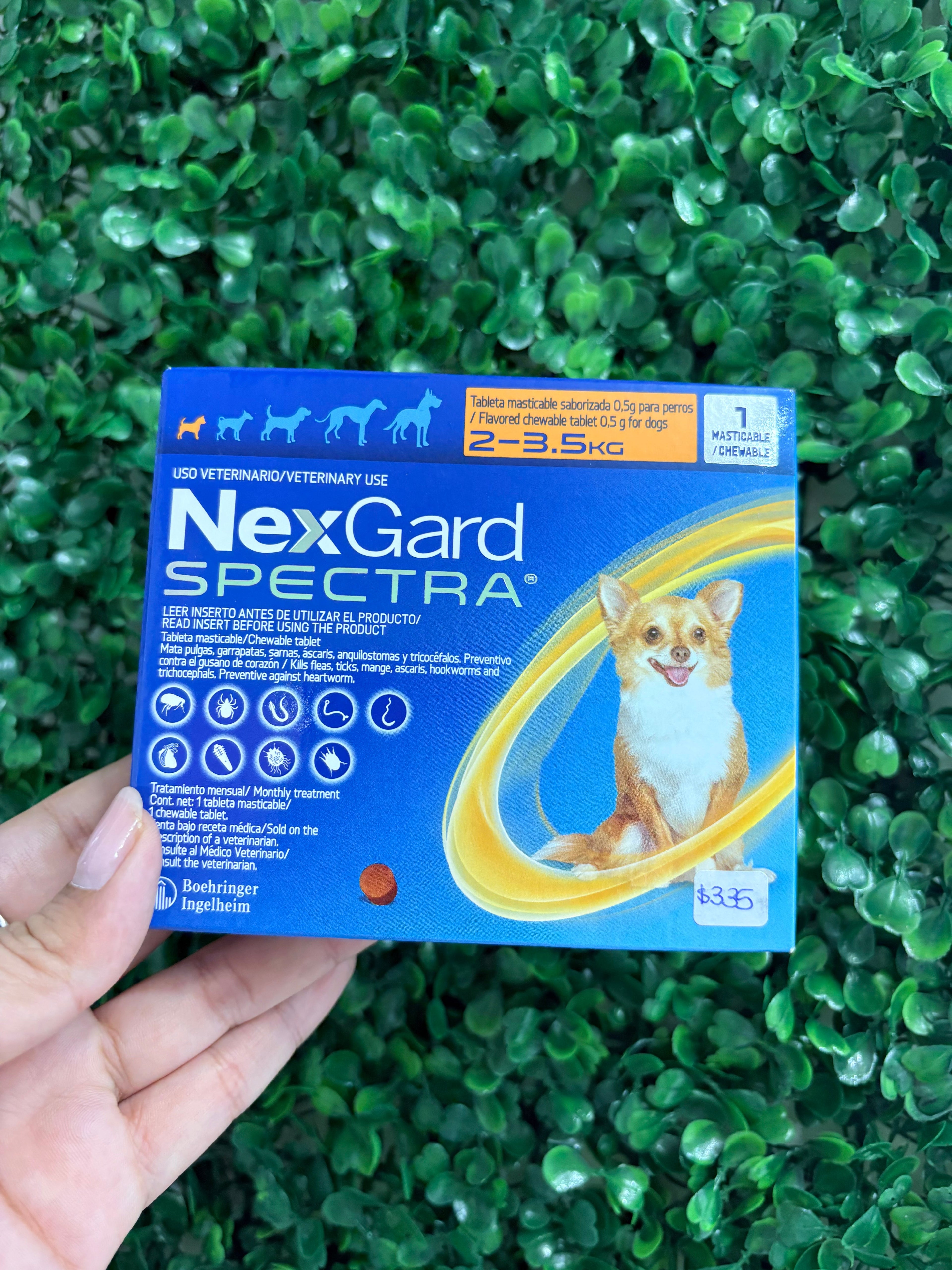 NexGard SPECTRA® 2-3.5kg elimina pulgas, garrapatas, gusanos y sarna con un solo bocado sabroso al mes.