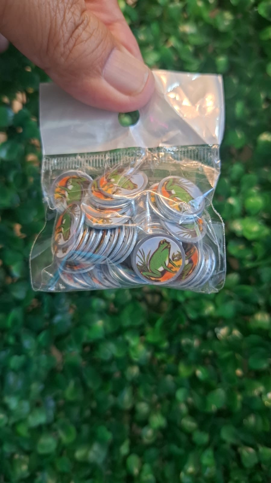 Accesorios para lotería