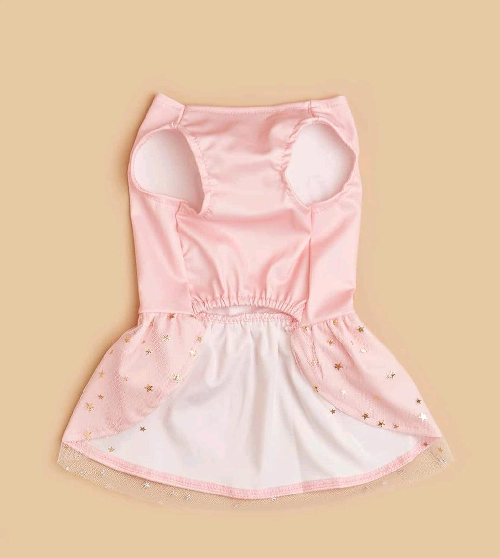 Traje para mascota