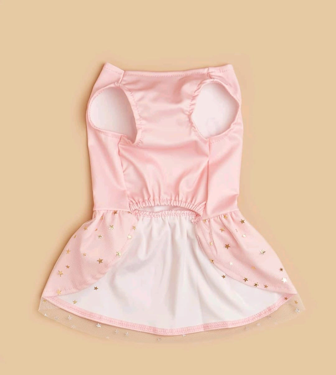 Traje para mascota