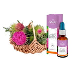 EXTRACTO CARDO MARIANO - Yolis Sheló Nabel