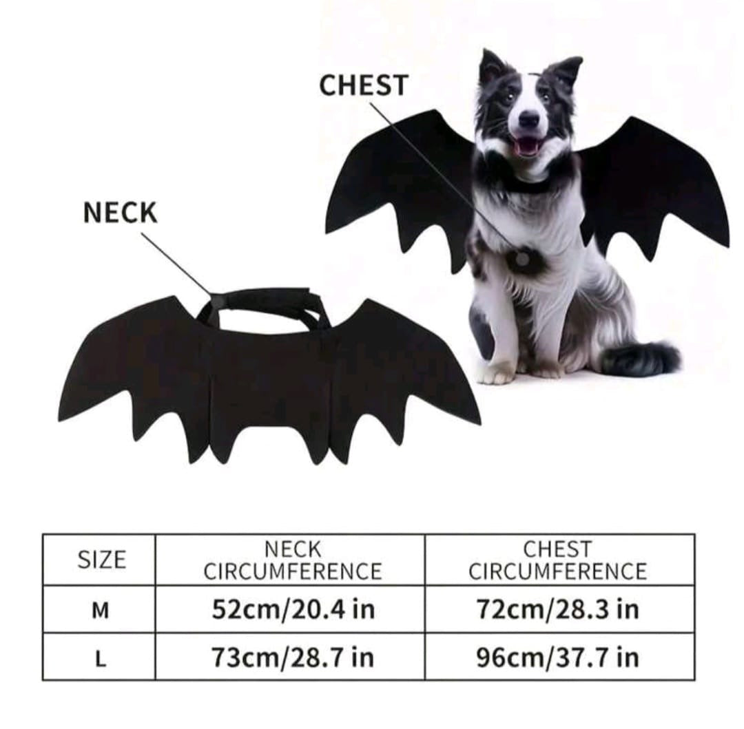Traje para mascota