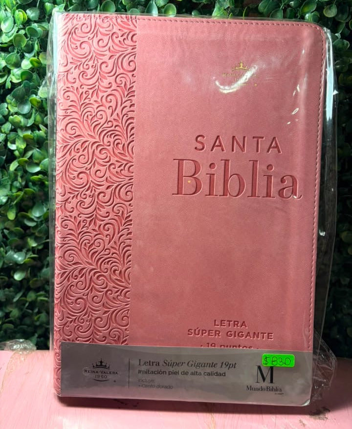 Biblia para dama versión reina Valera 1960 (letra súper gigante)