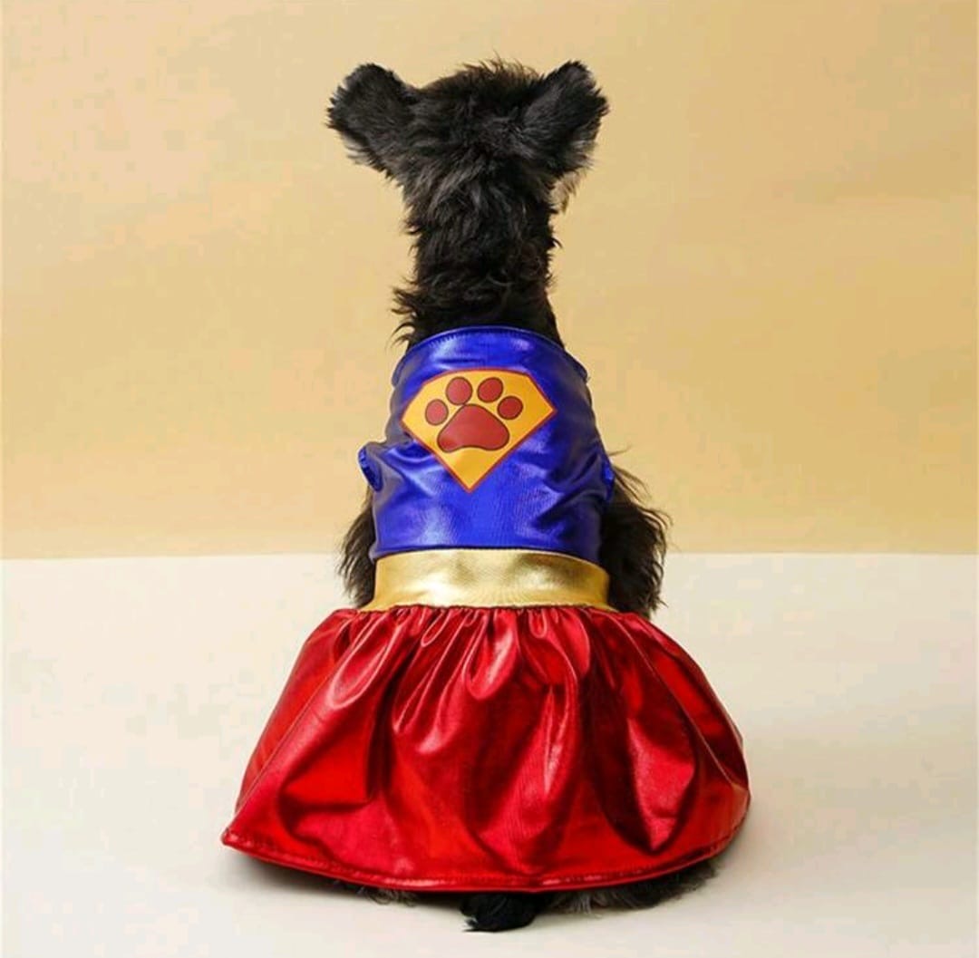Traje para mascota