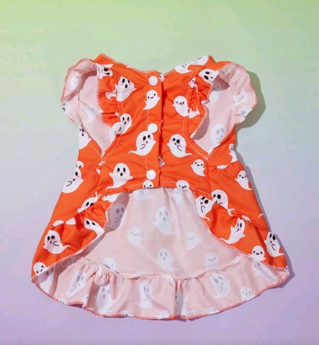 Traje para mascota
