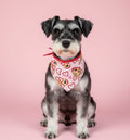Bandana para mascota San Valentín