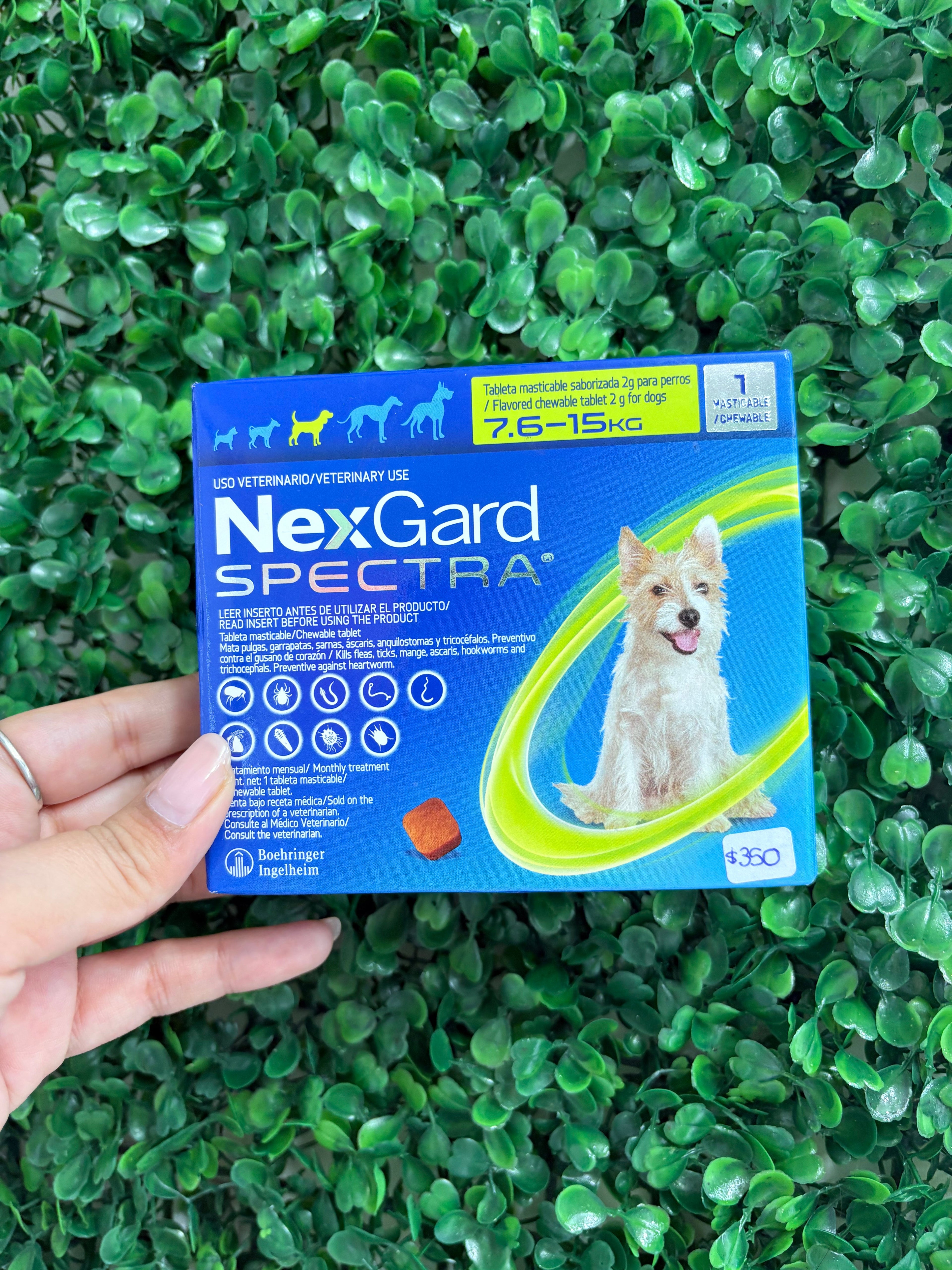 NexGard SPECTRA® 7.6-15kg elimina pulgas, garrapatas, gusanos y sarna con un solo bocado sabroso al mes.