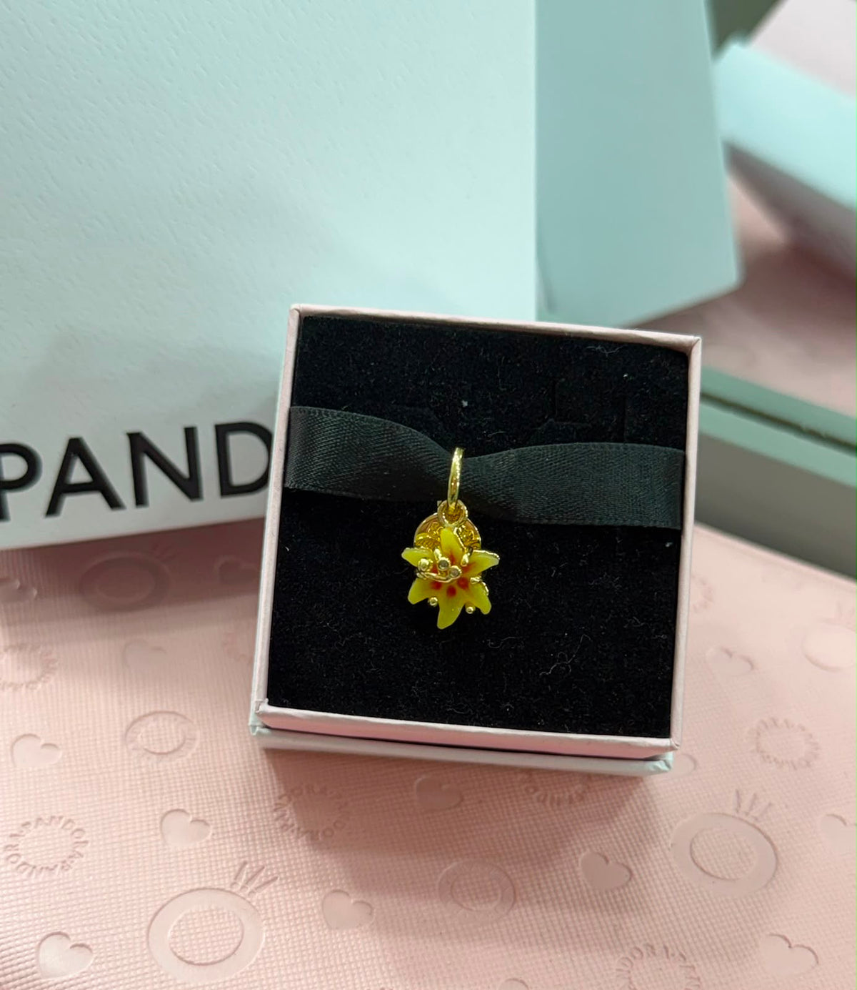 CHP271 Charm gota de Sol ☀️