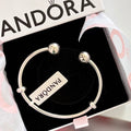 PL14 Brazalete Rígido estilo Pandora Calidad Premium Incluye caja.