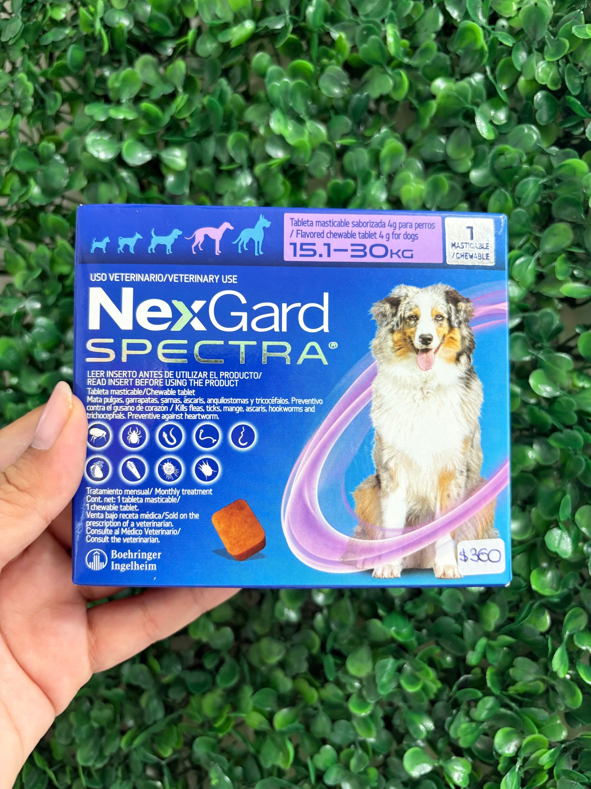 NexGard SPECTRA® 15.1-30kg elimina pulgas, garrapatas, gusanos y sarna con un solo bocado sabroso al mes.