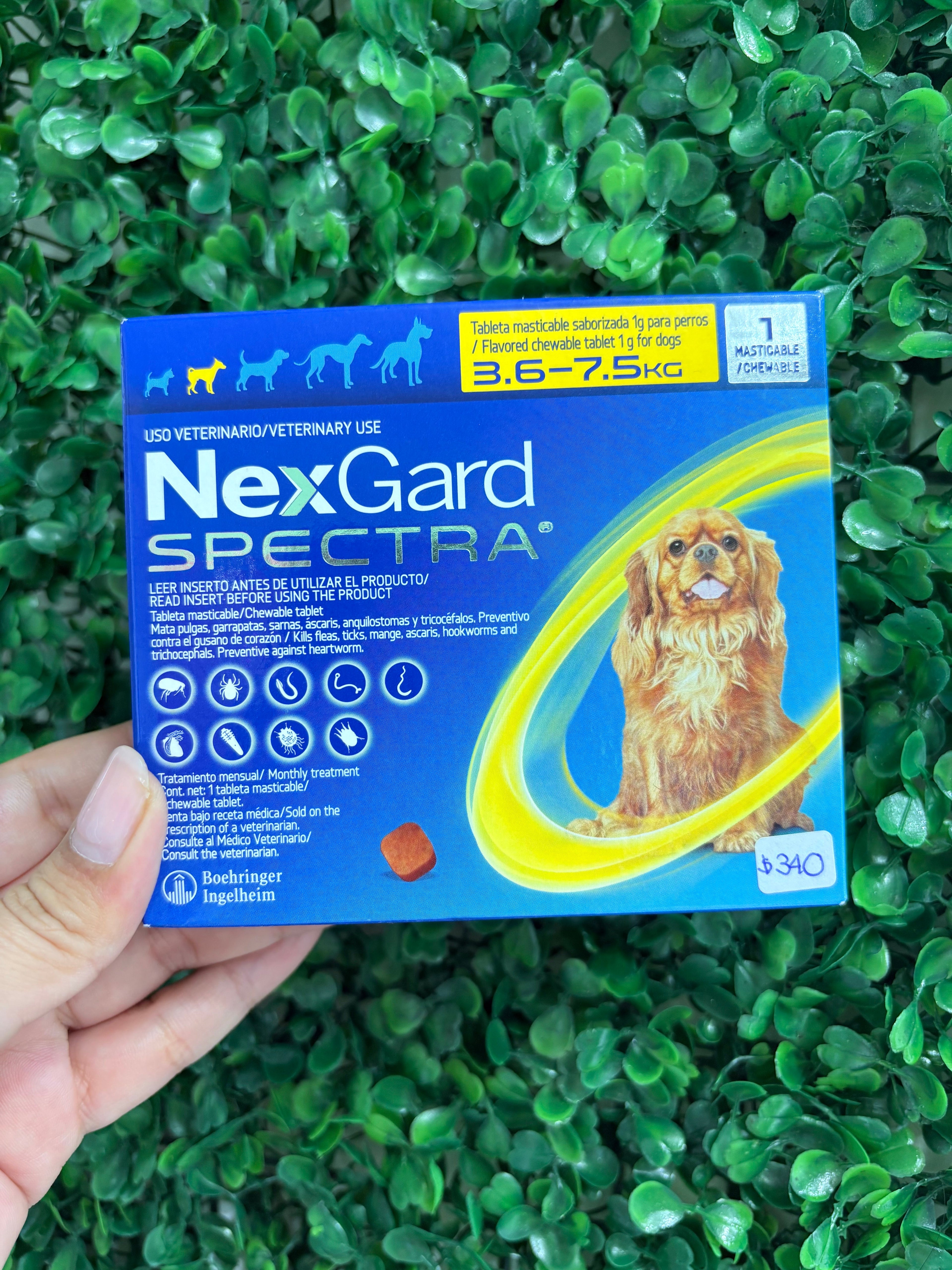 NexGard SPECTRA® 3.6-7.5kg  elimina pulgas, garrapatas, gusanos y sarna con un solo bocado sabroso al mes.