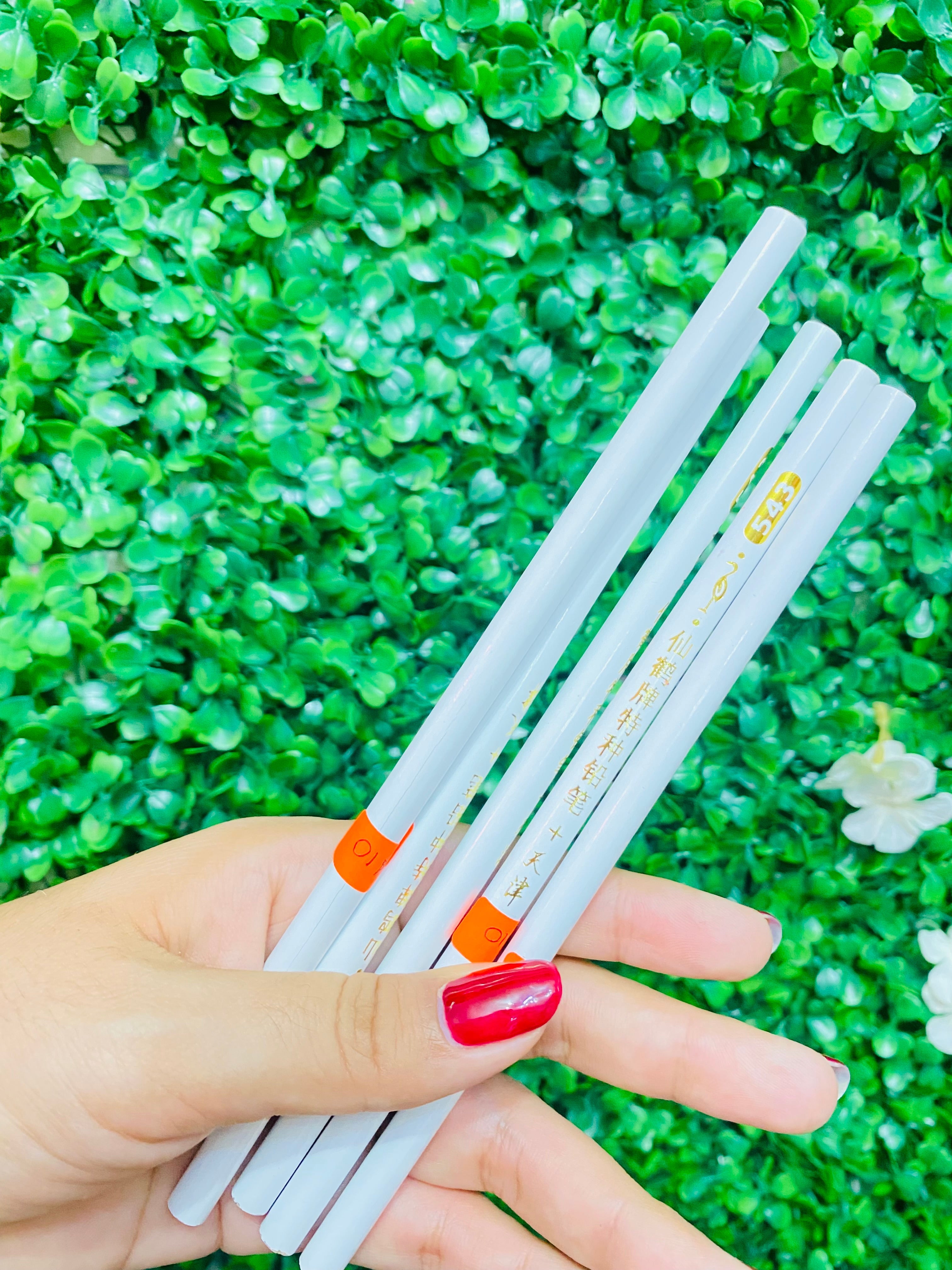 20909 Lápiz de cera