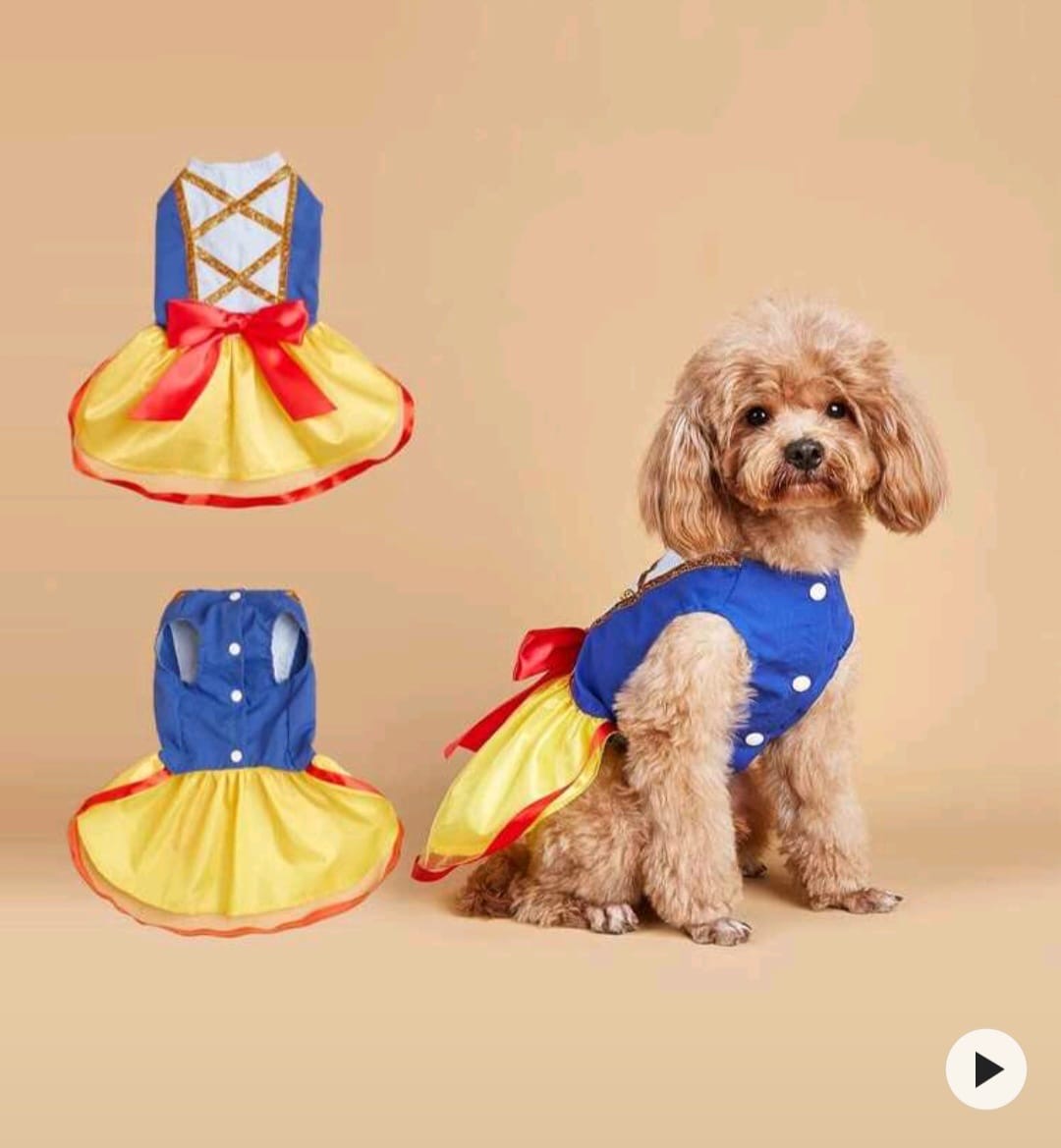 Traje para mascota