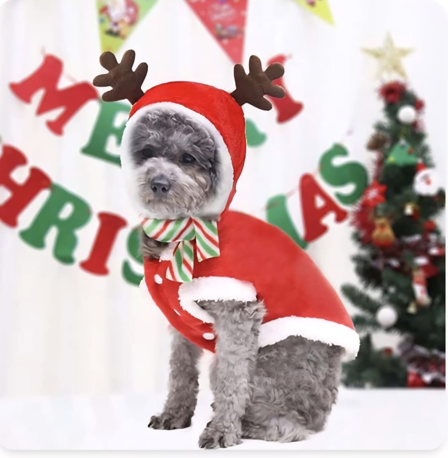 Traje para mascota rojo