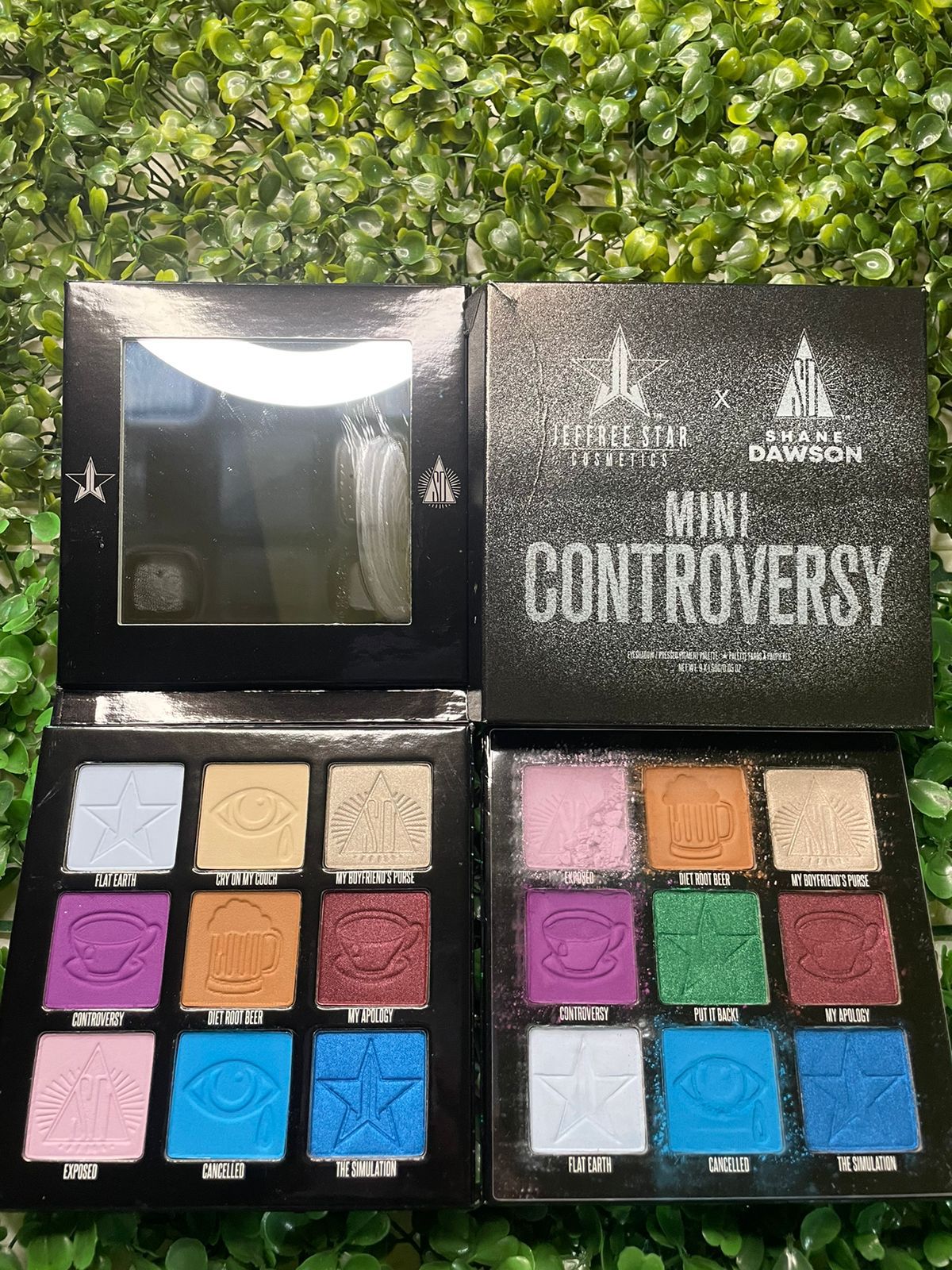 Paleta mini controversy