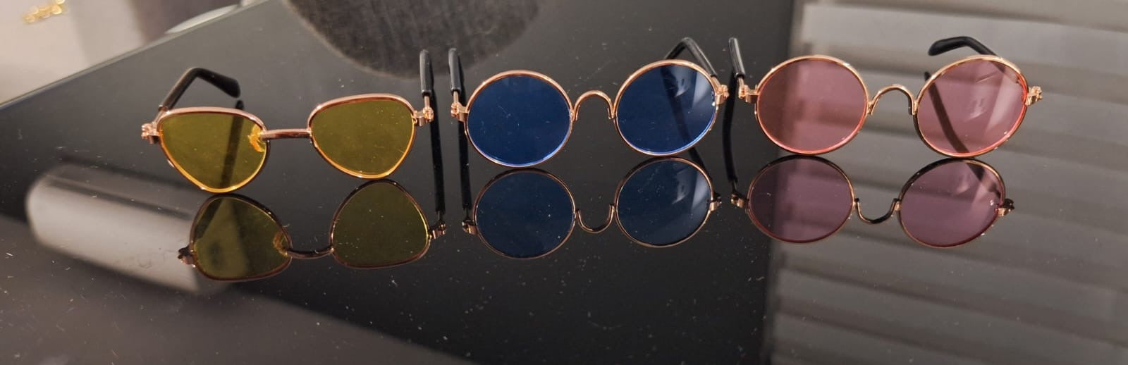 Lentes para mascota