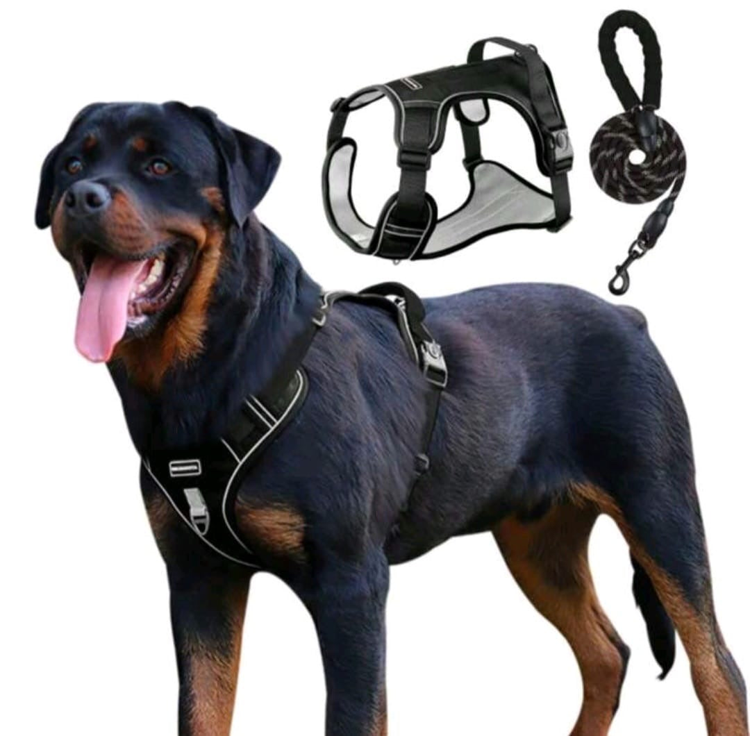 Pechera con correa para mascota