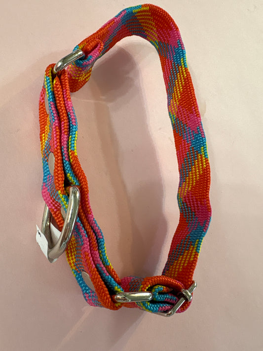 Collar para mascota multicolor