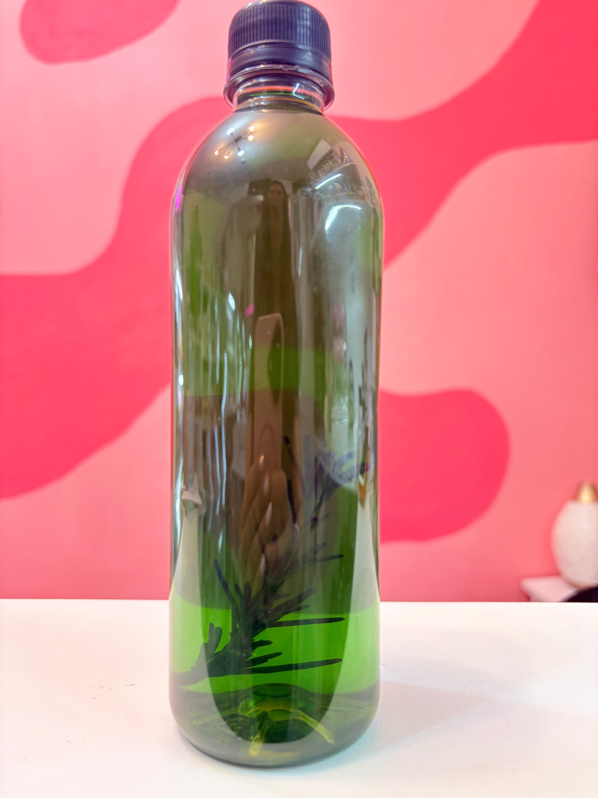 🧴Shampoo de romero y cola de caballo Tiene ramitas de romero 🌿 500ml