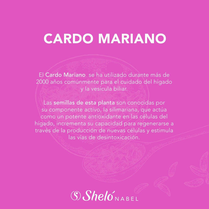 EXTRACTO CARDO MARIANO - Yolis Sheló Nabel