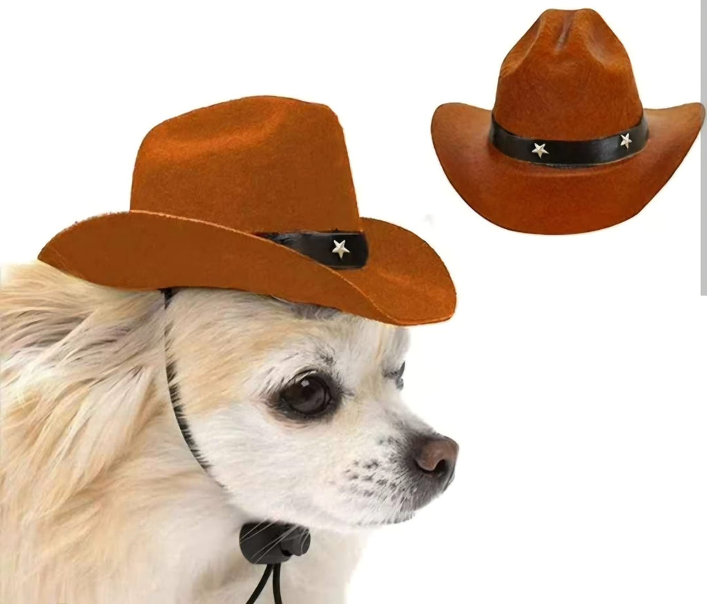 Sombrerito vaquero