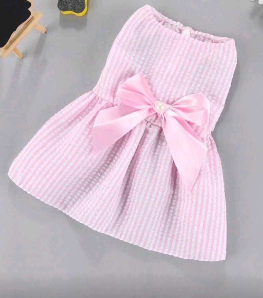Traje para mascota