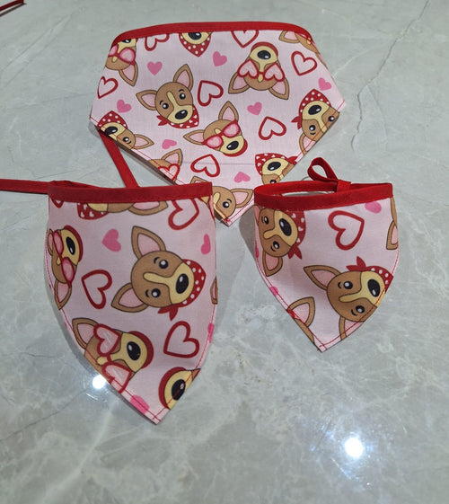 Bandana para mascota San Valentín