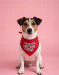 Bandana para mascota San Valentín