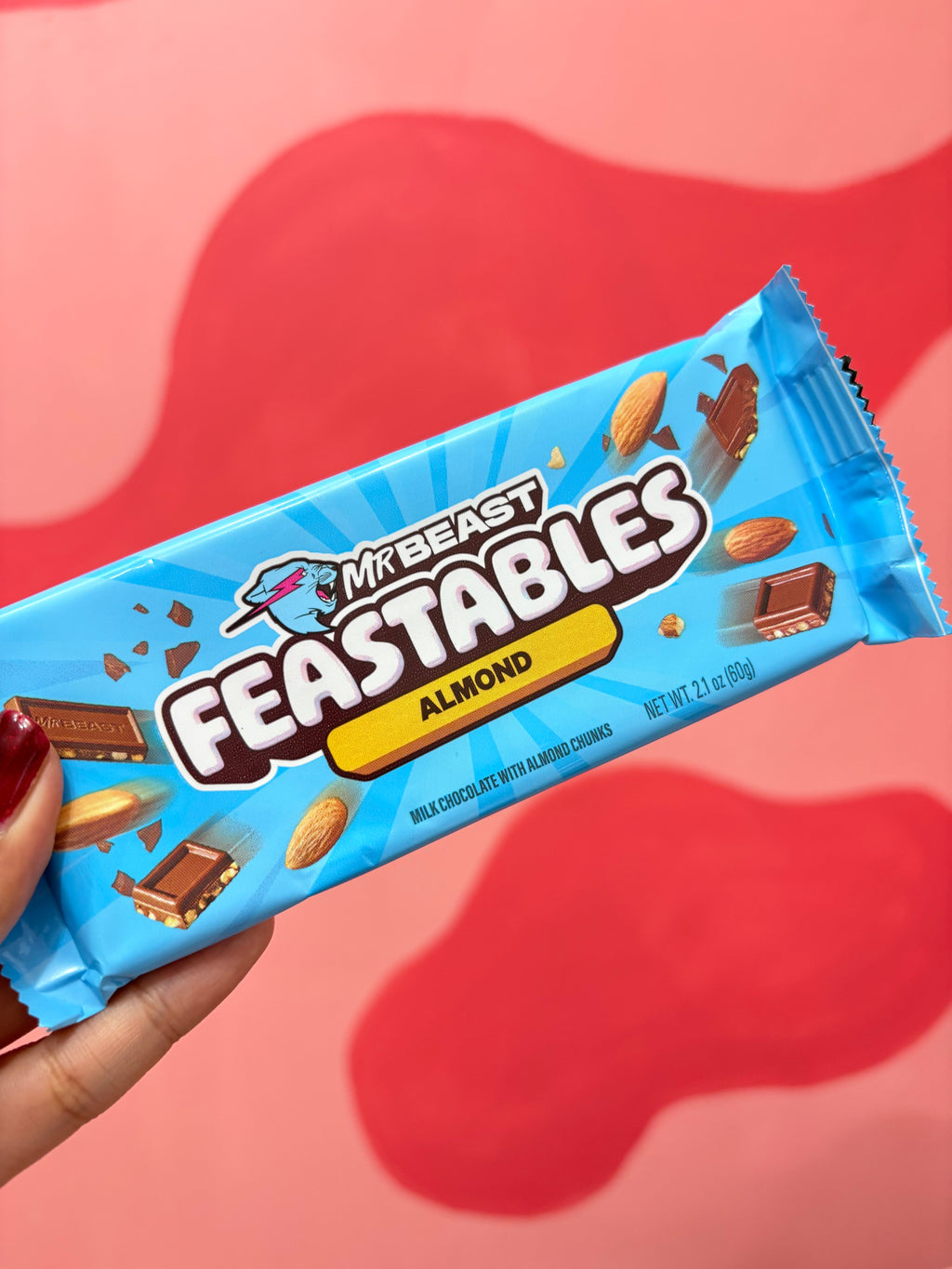 Chocolate Mr Beast FEASTABLES