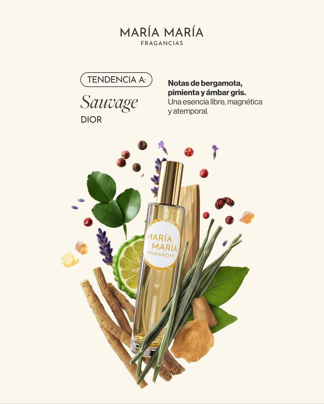 Perfume María María Caballero