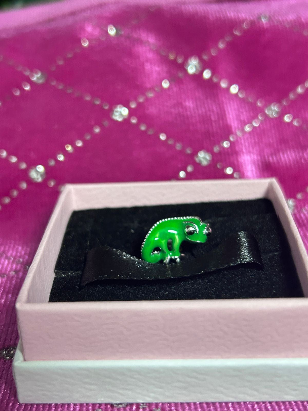 CHP162 - Charm Pascal.