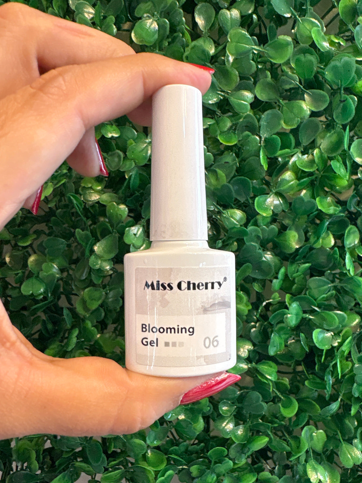 21017 BLOOMING GEL MISS CHERRY