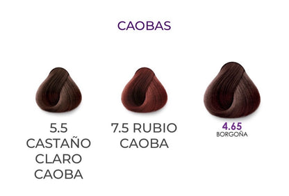 TINTE PERMANENTE KÜÜL * CAOBAS