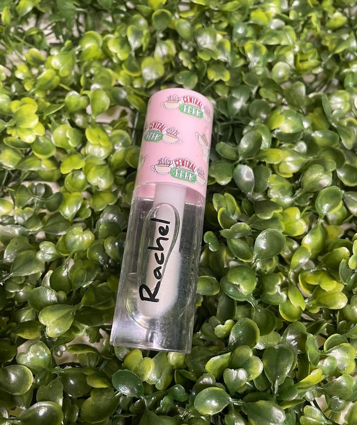 Gloss Edicion friends