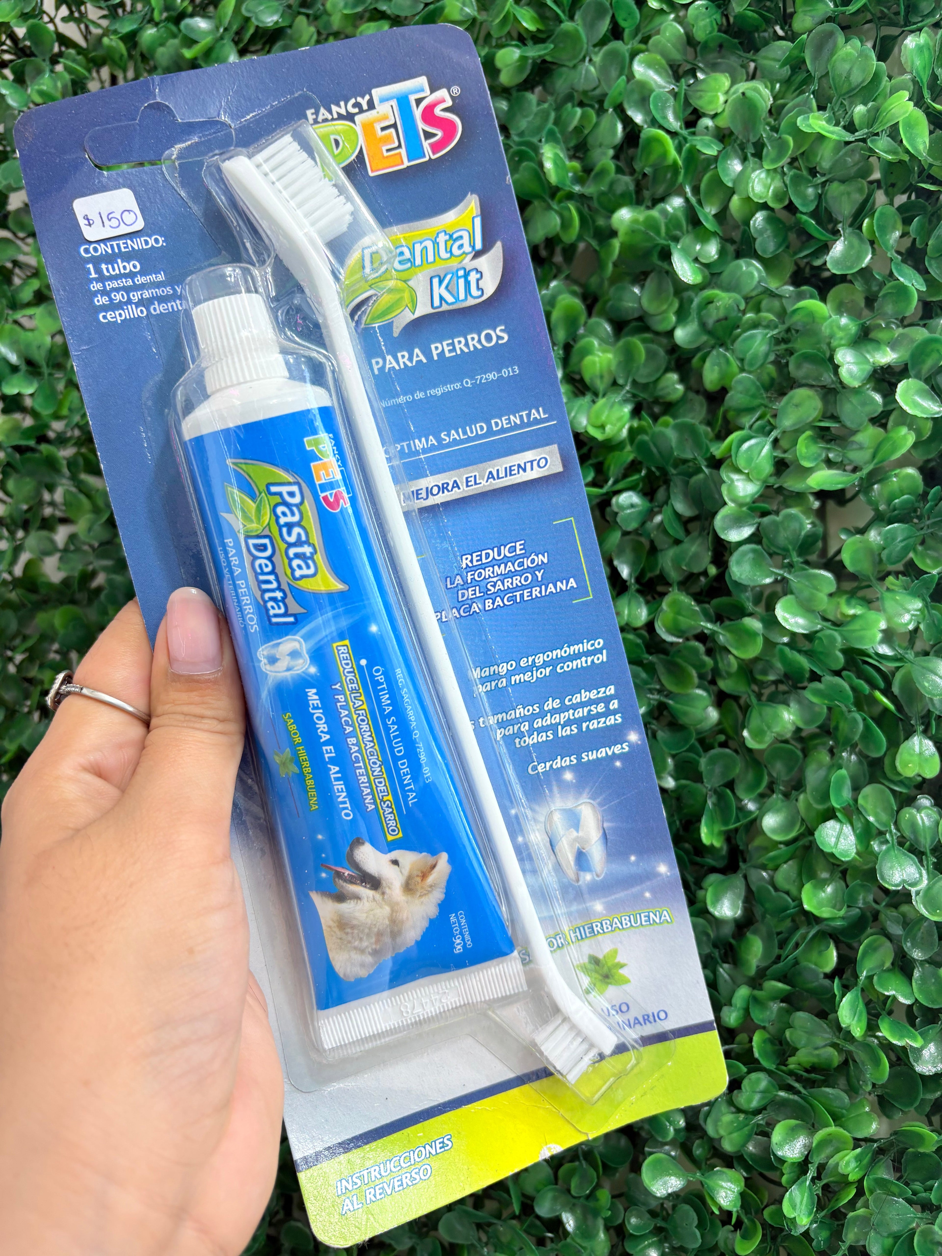 Pasta y Cepillo Dental para Perro Fancy Pets Sabor Hierbabuena 90 g