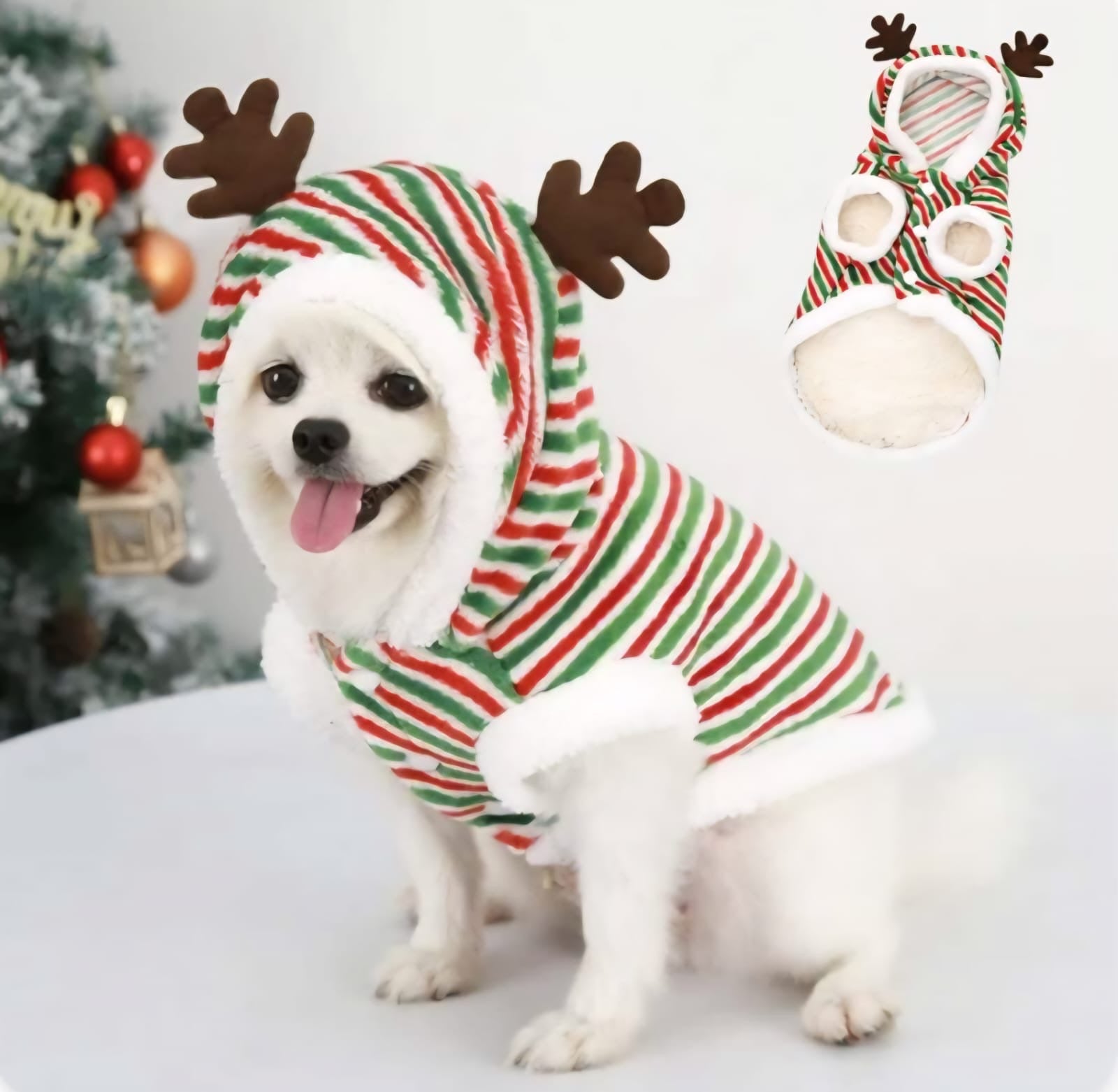 Traje para mascota Caramelo