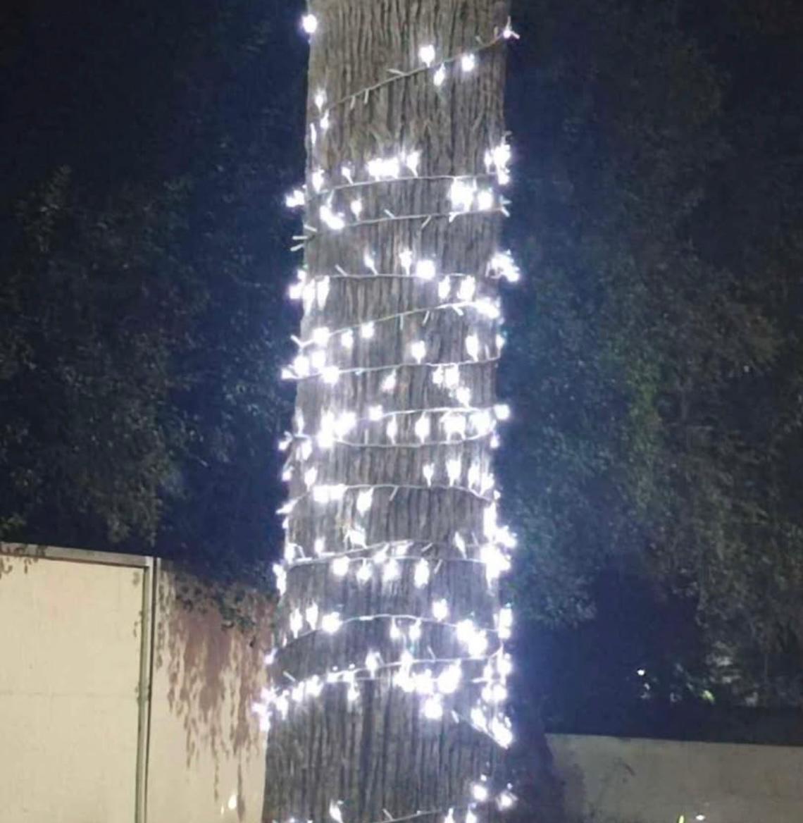LUCES LED LINEALES 10m - CAMILA MC