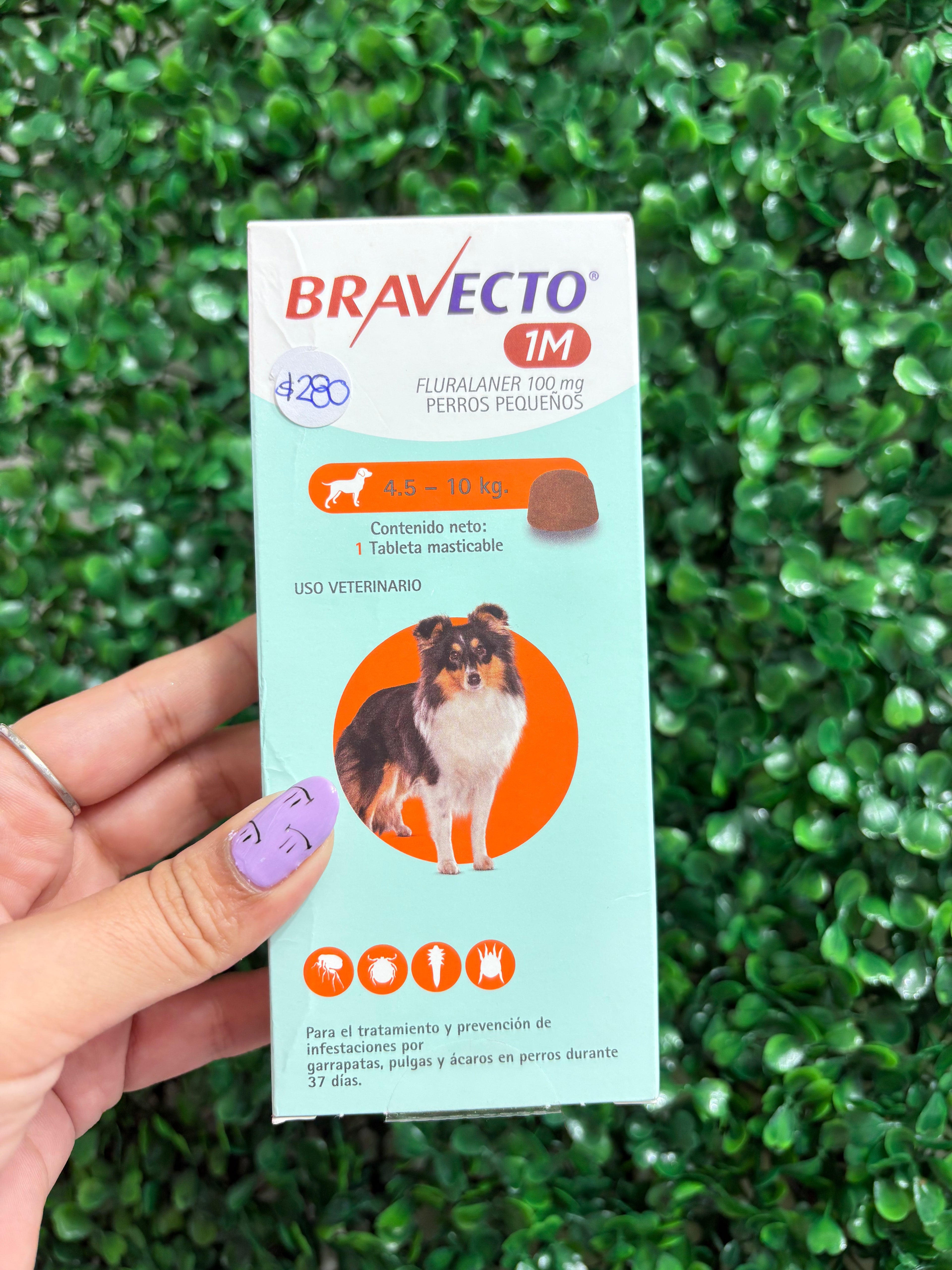 Bravecto Perros pequeños 4.5 - 10 kg. 1M