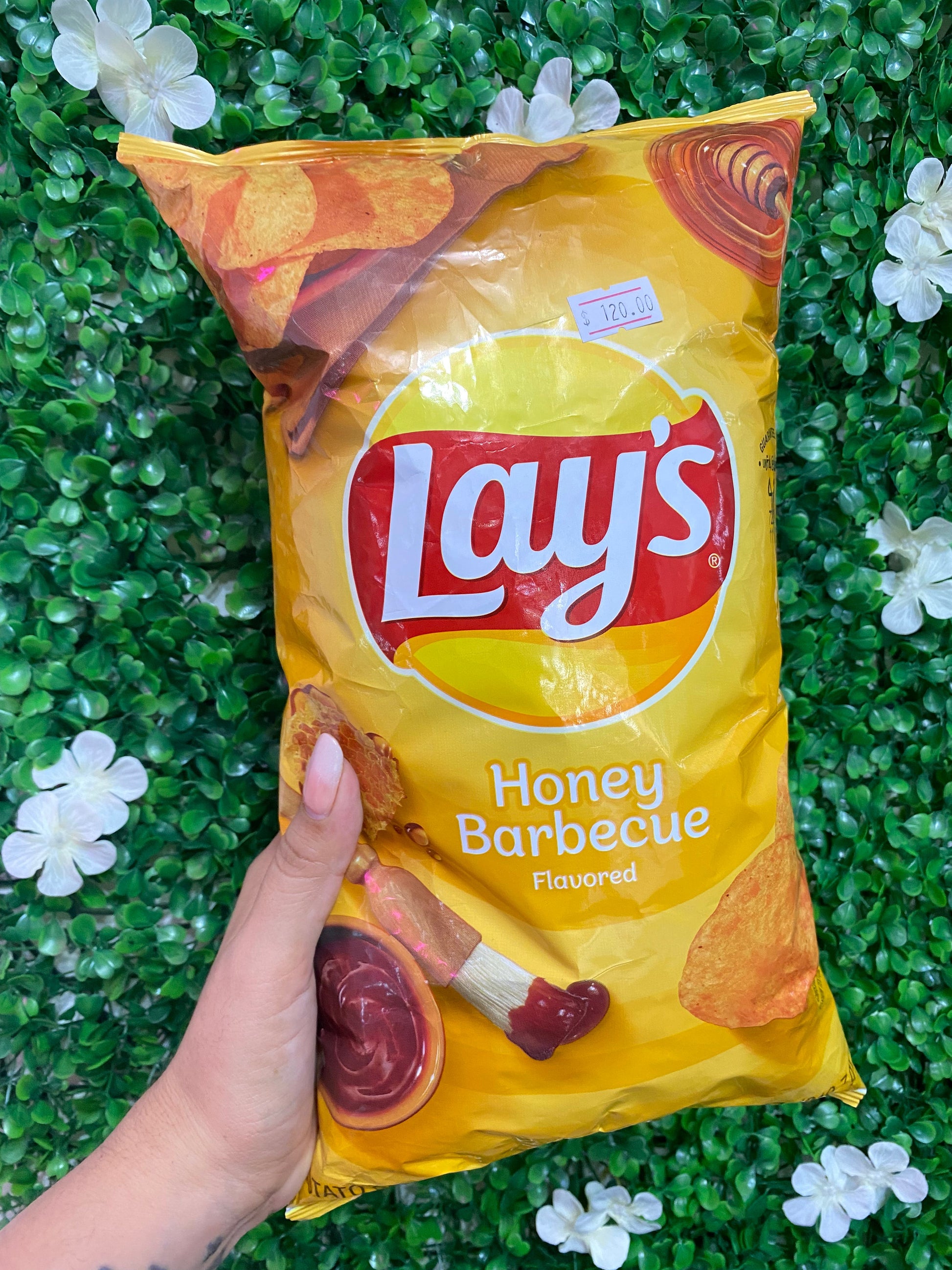 Bolsa Lays