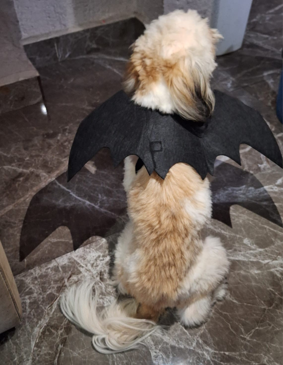 Disfraz para mascota Alas de Murciélago